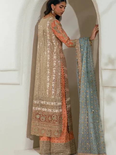 Pakistani Dresses Online USA