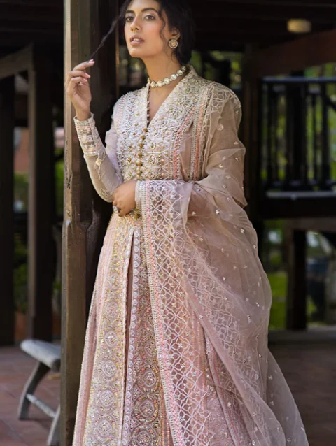 Pakistani Dresses Online USA