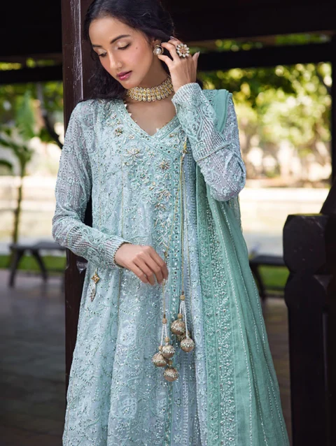 Pakistani Dresses Online USA