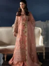 Pakistani Dresses Online USA | Pakistani Designer Clothes