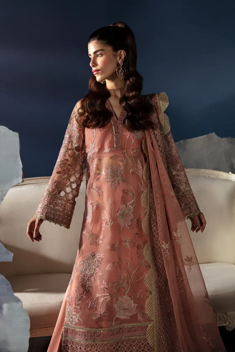 Pakistani Dresses Online USA | Pakistani Designer Clothes