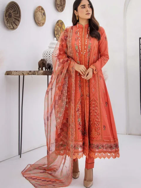 Pakistani Dresses Online USA | Pakistani Designer Clothes