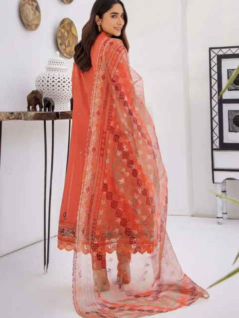 Pakistani Dresses Online USA | Pakistani Designer Clothes