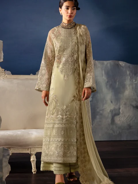 Pakistani Dresses Online USA | Pakistani Designer Clothes