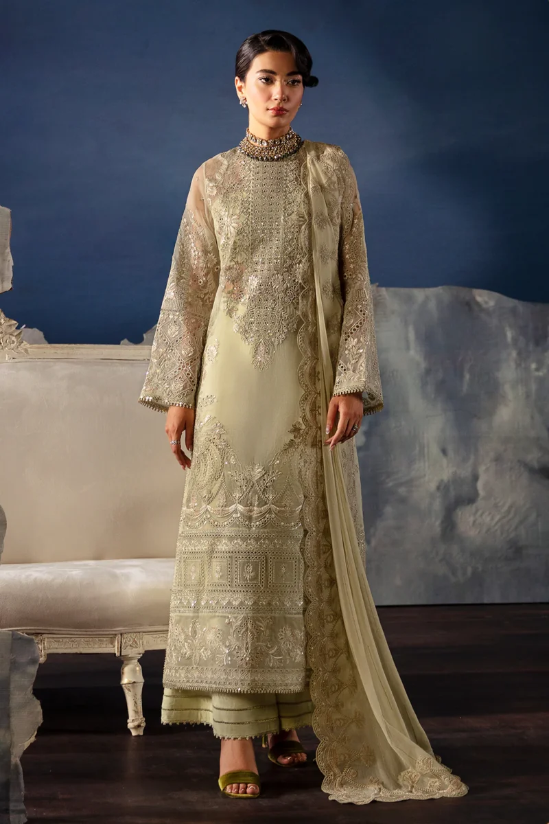 Pakistani Dresses Online USA | Pakistani Designer Clothes