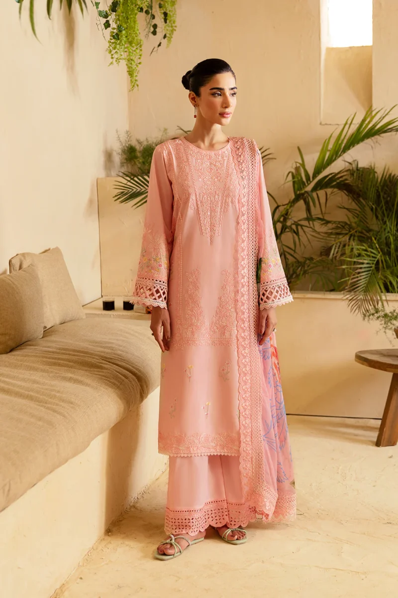 Pakistani Dresses Online USA