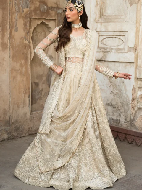 Pakistani Dresses Online USA