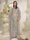 Pakistani Dresses Online USA