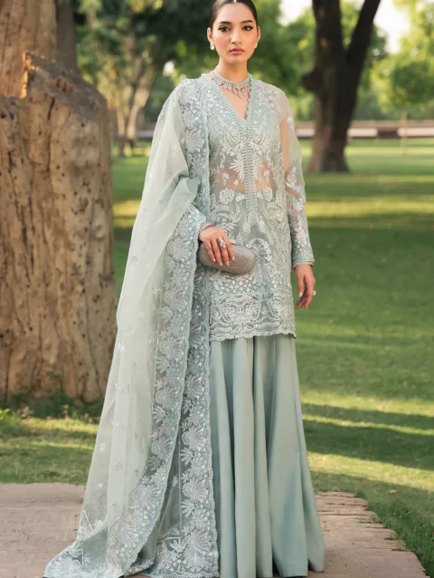 Pakistani Dresses Online USA