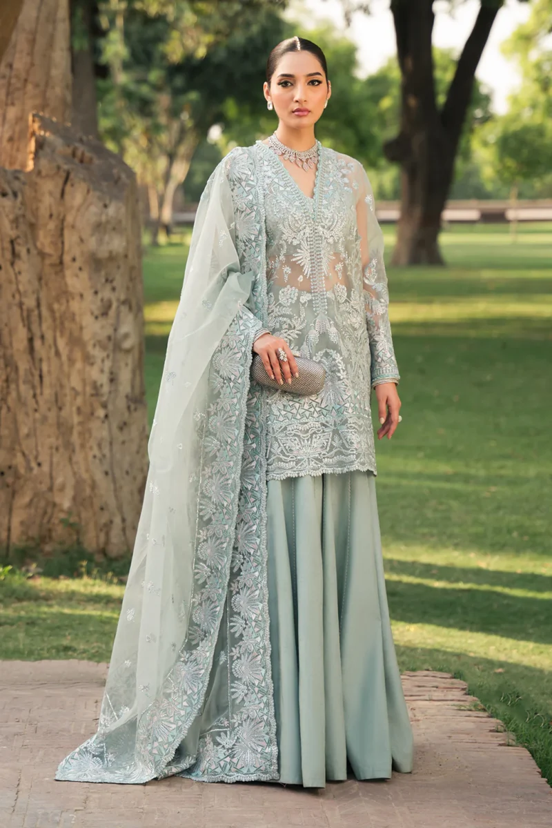 Pakistani Dresses Online USA